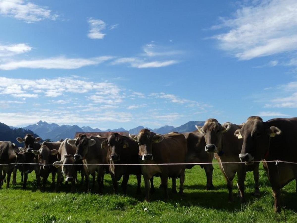 Hemerhof - Ferienwohnungen Oberstdorf Eksteriør bilde