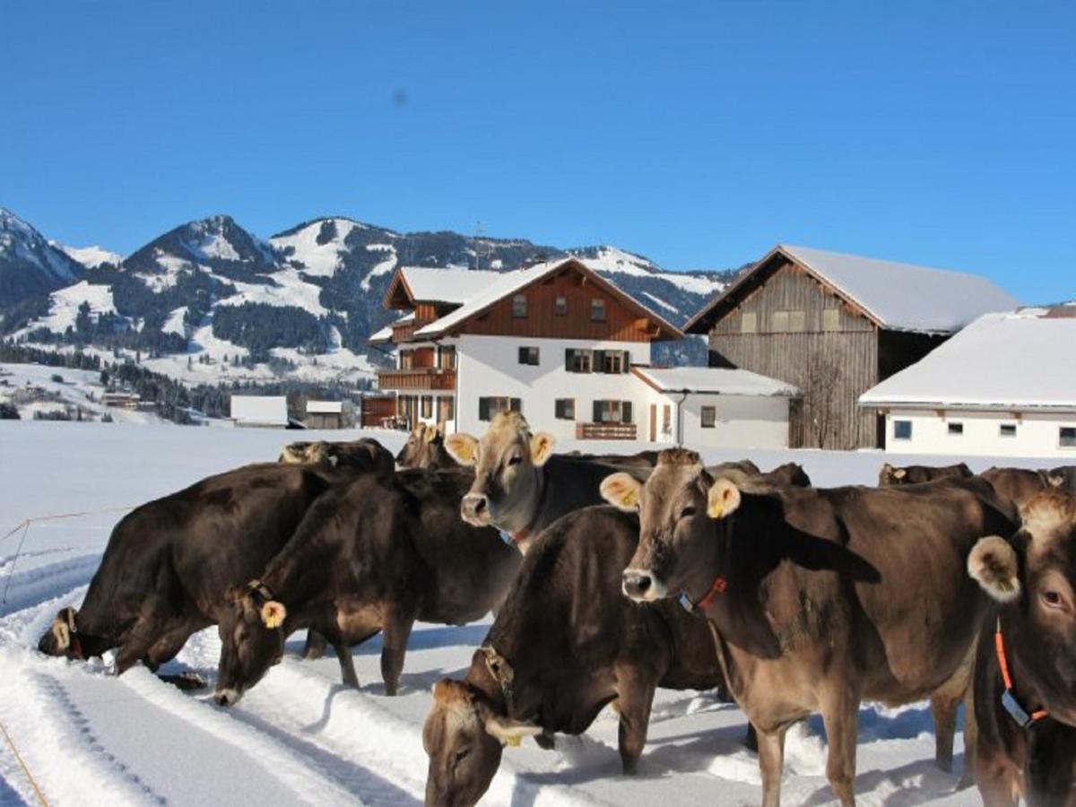 Hemerhof - Ferienwohnungen Oberstdorf Eksteriør bilde