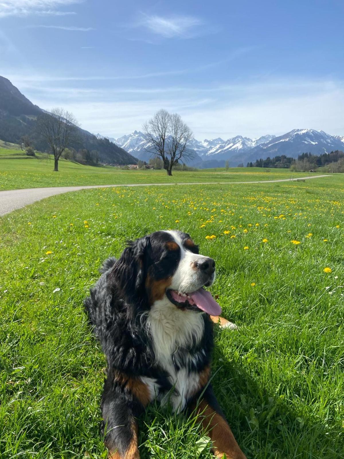 Hemerhof - Ferienwohnungen Oberstdorf Eksteriør bilde