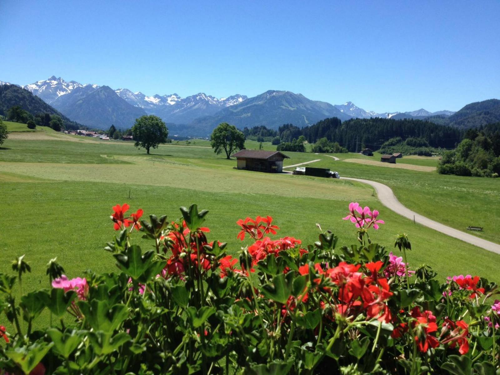 Hemerhof - Ferienwohnungen Oberstdorf Eksteriør bilde