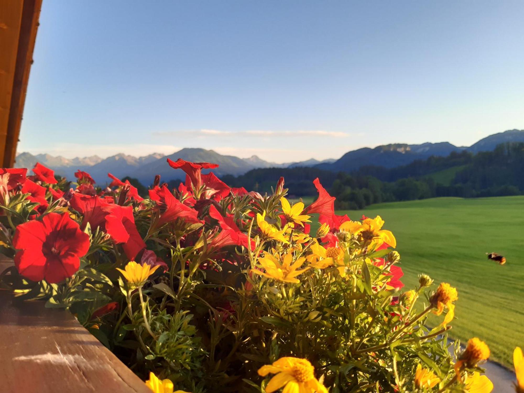 Hemerhof - Ferienwohnungen Oberstdorf Eksteriør bilde