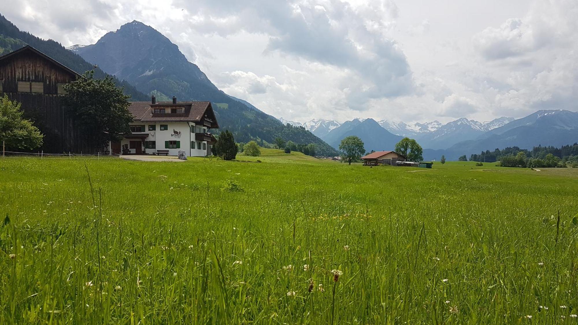 Hemerhof - Ferienwohnungen Oberstdorf Eksteriør bilde